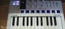 ARTURIA MINILAB3 MK3 便攜MIDI鍵盤(pán)25鍵迷笛控制器打擊墊音樂(lè )作編曲制作 25鍵白色+踏板+包+轉接頭 官方授權 贈正版音色庫 曬單實(shí)拍圖