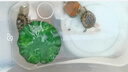 土鯪魚(yú)白鰱魚(yú)苗活體飼料活魚(yú)喂鱖魚(yú)喂金龍喂烏龜喂桂花鱸魚(yú)活餌魚(yú) 飼料魚(yú)隨機發(fā)2-4厘米100條送10% 曬單實(shí)拍圖