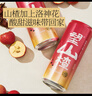 好望水望山楂果汁氣泡水330ml*6聽(tīng)飲料健康飲品整箱罐裝 望山楂 330ml*6罐 曬單實(shí)拍圖