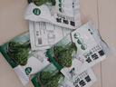 譽(yù)津當季新貨鞭炮筍海草羊棲菜新鮮馬尾藻長(cháng)壽菜鹽漬海藻菜涼拌涮火鍋 鹽漬鞭炮筍5包【150克/包】 曬單實(shí)拍圖