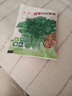 易發(fā)芽大葉香菜種子香菜籽耐熱四季陽(yáng)臺室內盆栽種籽蔬菜種子大全 四季大葉香菜約1000粒1包 曬單實(shí)拍圖