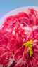 恒都 國產(chǎn)精選調理牛肉片150g*4 生鮮牛肉 火鍋食材 煎炒燒烤 曬單實(shí)拍圖