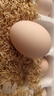 新鮮谷物鮮雞蛋 破損包賠 現撿現發(fā)  50±5克/枚 30枚裝 曬單實(shí)拍圖