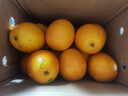 壹棵弘芯正宗現摘丑八怪柑橘子新鮮水果當季酸甜口橘子生鮮整箱 特選5斤超值大果 單果70MM+凈重4斤 曬單實(shí)拍圖