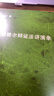 黑格爾辯證法講演錄 商務(wù)印書(shū)館 鄧曉芒 著(zhù) 新華正版書(shū)籍包郵 曬單實(shí)拍圖