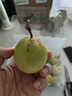 京鮮生 黃金百香果 2斤裝 約13-15粒 單果約70g 酸甜欽蜜 生鮮水果 曬單實(shí)拍圖