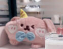 鉑吶苓 熱水袋充電暖水袋生日禮物女生暖手袋電暖寶安全防爆保暖神器 粉色哆啦狗【國標內膽+布套】 曬單實(shí)拍圖