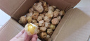 果亞多順豐東北姑娘果5斤大果新鮮當季水果整箱特產(chǎn)燈籠果小金豆甜菇娘A 1斤 順豐包郵丨顆顆香甜丨商超品質(zhì) 曬單實(shí)拍圖