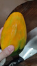 三萌果蔬攀枝花凱特芒果 四川當季新鮮水果青皮大芒果現摘整箱 5斤甄選果【單果400g+】?jì)糁?.5斤 曬單實(shí)拍圖