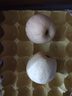 甜醉了 煙臺蘋(píng)果黃元帥粉面蘋(píng)果黃金帥黃香蕉山東特產(chǎn)新鮮水果整箱生鮮 凈重4.5斤75-80mm 曬單實(shí)拍圖