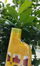 史丹利營養(yǎng)液花肥料家用盆栽植物通用型水培發(fā)財樹富貴竹花卉綠植500ml 曬單實拍圖