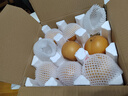 京鮮生 長(cháng)城羊脂秋月梨 正宗大果 凈重5斤 單果300g+ 生鮮水果禮盒 曬單實(shí)拍圖