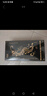 姬欲仿真假陽(yáng)具肉棒成人情趣用品專(zhuān)用女士性生交器陰道高級男特大玩具 曬單實(shí)拍圖