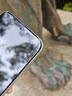 言臣適用iphone17promax鋼化膜防窺無黑邊3d熱彎蘋果17pro鋼化膜抗指紋聽筒防塵iphone17pro手機(jī)膜康寧 【8K超清1片裝】3D熱彎鋼化膜|弧邊全覆蓋 iPhone 17 Pro Max 曬單實(shí)拍圖