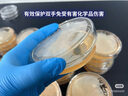英科醫療（INTCO）一次性手套丁腈手套大碼100只加厚耐用款清潔勞保藍色防護手套 曬單實(shí)拍圖