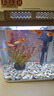 寵街坊小魚(yú)缸一體缸自循環(huán)水族箱桌面客廳小型送禮生態(tài)魚(yú)缸造景240 曬單實(shí)拍圖