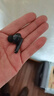 HUAWEI FreeBuds 5i 真無(wú)線(xiàn)入耳式降噪藍牙耳機 音樂(lè )游戲運動(dòng)耳機 安卓蘋(píng)果手機通用 星際黑 曬單實(shí)拍圖
