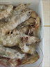 賣魚郎先生蝦 青島鹽凍大蝦凈重3.6斤 25-30只/斤 青蝦海蝦生鮮 蝦類 曬單實(shí)拍圖