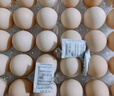 【無(wú)抗】大碼鮮雞蛋1.8kg 曬單實(shí)拍圖