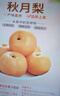 京鮮生山東煙臺萊陽(yáng)秋月梨凈重8斤 單果300g+ 生鮮水果 源頭直發(fā)包郵 曬單實(shí)拍圖