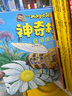 神奇校車(chē)(圖畫(huà)書(shū)版共12冊) 曬單實(shí)拍圖