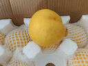 京鮮生 彩虹油桃 凈重4.5斤 單果100g+  生鮮水果 源頭直發(fā) 曬單實(shí)拍圖