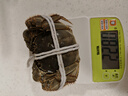 陶華碧老干媽 油辣子大塊牛肉醬730g 貴州特產(chǎn) 熱門(mén)商品 搜索詞 曬單實(shí)拍圖