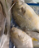 翔泰 海南金鯧魚(yú)凈重900g 2條裝  魚(yú)類(lèi)生鮮 燒烤 火鍋食材 海鮮水產(chǎn) 曬單實(shí)拍圖