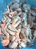 美加佳熟凍北極甜蝦腹籽凈重3斤 90/120規格  海鮮水產(chǎn) 熟凍甜蝦 曬單實(shí)拍圖