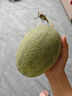 正宗哈密瓜西州蜜大果甜瓜新鮮采摘蜜瓜脆甜多汁整箱 哈密瓜1.5-2斤 曬單實(shí)拍圖