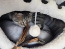 貓窩保暖冬季加厚封閉式大型貓屋可拆卸睡袋貓床中小型犬狗窩睡墊 灰色龍貓 M碼【15斤內】 【一窩兩用】品質(zhì)保障防風(fēng)保暖 曬單實(shí)拍圖