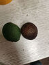 趣嘗鮮云南牛油果 4粒裝單果130g+  源頭直發(fā) 一件包郵 曬單實(shí)拍圖
