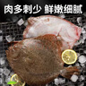 賣(mài)魚(yú)七郎 多寶魚(yú)凈重2.1斤共3條裝 海捕鮮活冷凍比目魚(yú)鰈魚(yú) 生鮮水產(chǎn)魚(yú)類(lèi) 曬單實(shí)拍圖
