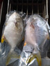翔泰海南深海金鯧魚(yú)700g 2條 火鍋 生鮮魚(yú)類(lèi) BAP認證 海鮮水產(chǎn) 中秋 曬單實(shí)拍圖