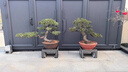 京石云石雕花架花園青石戶(hù)外盆景臺花盆底座庭院石材花臺石頭花幾博古架 F款長(cháng)80*40*40cm 不含運費 曬單實(shí)拍圖