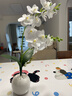 范爺家蝴蝶蘭仿真花藝套裝中式客廳餐桌玄關(guān)假花擺件電視柜桌面裝飾絹花 曬單實(shí)拍圖