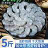朵芙大號青蝦仁 新鮮活剝冷凍白蝦仁手工去蝦線(xiàn)海鮮水產(chǎn)生鮮蝦類(lèi) 3140大號蝦仁 5斤(凈重) 曬單實(shí)拍圖