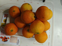 京鮮生【公益好物】川爺爺的愛(ài)媛38號果凍橙 凈重4.5-5斤 單果120g＋ 曬單實(shí)拍圖