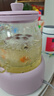 大宇（DAEWOO）全玻璃壺體養(yǎng)生壺恒溫壺 辦公室多功能煮茶壺花茶壺 0金屬養(yǎng)生杯24h預(yù)約保溫 YS14A紫色配茶漏 曬單實拍圖