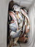 【現捕現發(fā)】青海鮮活海雜魚(yú)批發(fā)新鮮深海魚(yú)大雜燴海鮮水產(chǎn) 10斤裝 海雜魚(yú) 曬單實(shí)拍圖