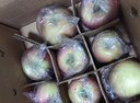 龍多鮮正宗天然冰糖心蘋(píng)果 丑蘋(píng)果 新鮮富士應季水果 送禮推薦 整9-10斤精選好果 約18-24個(gè) 凈8.5 曬單實(shí)拍圖