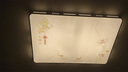 奧納菲新中式led吸頂燈現代簡(jiǎn)約客廳燈2025年新款餐廳臥室全光譜燈具 18W 家和美滿(mǎn)/黑 30*30cm白光 曬單實(shí)拍圖
