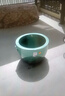 君閔陶瓷庭院種樹(shù)大缸仿古老式水缸養荷花睡蓮家用陽(yáng)臺室外翡翠綠魚(yú)缸 翡翠綠獅耳[直徑40cm] 曬單實(shí)拍圖