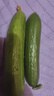 水果黃瓜生吃新鮮脆嫩小黃瓜青瓜小乳瓜批發(fā)現摘綠心孕婦水果黃瓜 3斤 曬單實(shí)拍圖