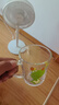 COOKSS兒童牛奶杯玻璃杯家用飲水杯帶刻度吸管水杯寶寶沖泡奶粉杯綠恐龍 曬單實(shí)拍圖