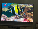 海信電視小墨E5Q Pro85英寸 1248分區U+MiniLED 信芯芯片 抗反光防眩光墨晶屏 300Hz國家補貼85E5Q-PRO 曬單實(shí)拍圖