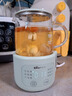 小熊（Bear）迷你養(yǎng)生壺養(yǎng)生杯 電燉杯電熱杯煮花茶壺?zé)畨剞k公室杯子0.4L全玻璃杯體YSH-F04E1 曬單實拍圖