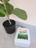 Lvbai青苔清除劑水泥地面專(zhuān)用青苔克星墻面苔蘚藻類(lèi)清潔2.6KG 曬單實(shí)拍圖