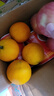 京鮮生 四川愛(ài)媛38號果凍橙 凈重4.5-5斤 單果170g+ 源頭直發(fā)包郵 曬單實(shí)拍圖