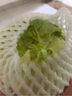 球生菜約500g 曬單實(shí)拍圖